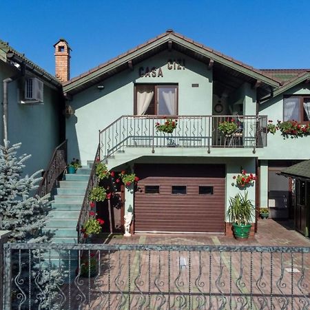Casa Cizi 호텔 Călimăneşti 외부 사진