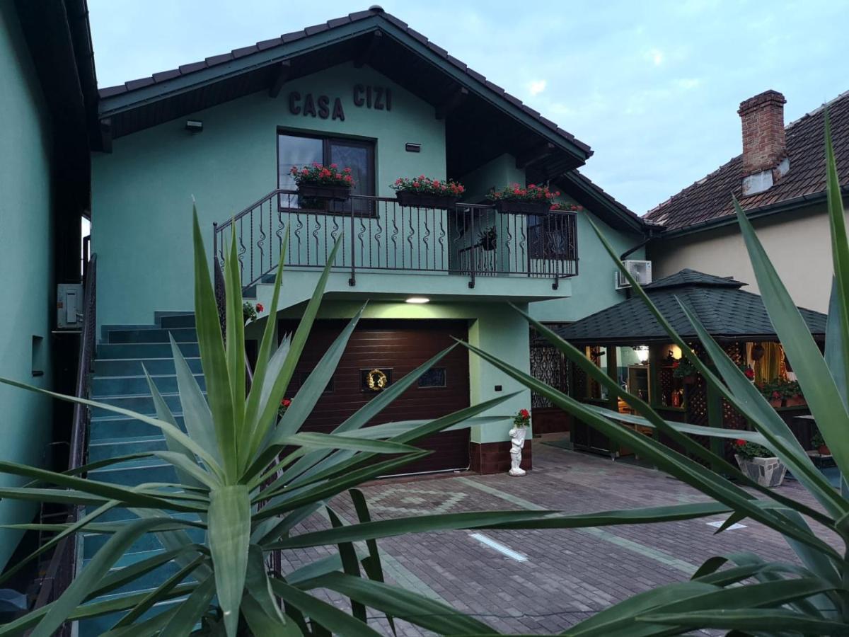 Casa Cizi 호텔 Călimăneşti 외부 사진