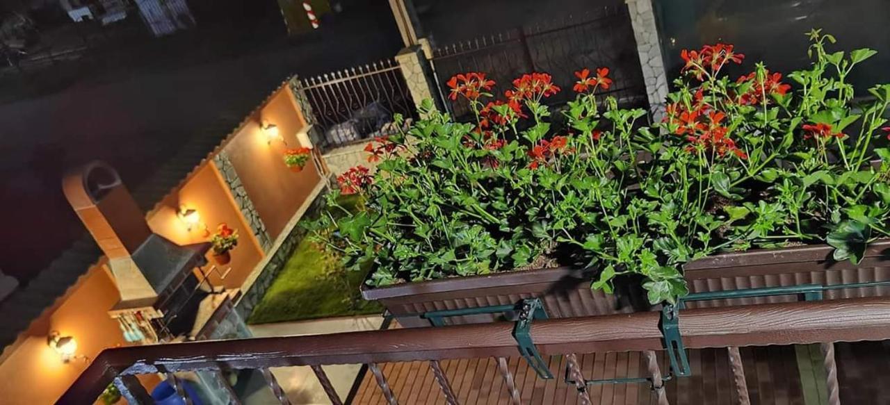Casa Cizi 호텔 Călimăneşti 외부 사진