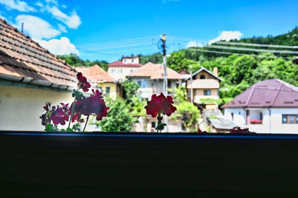 Casa Cizi 호텔 Călimăneşti 외부 사진